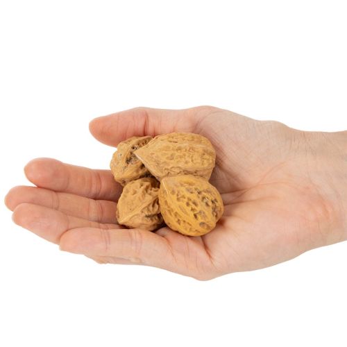 Walnoten, een natuurlijk product voor tafeldecoratie en doe-het-zelfprojecten. Natuurlijke walnoten, 4-5 cm, 300 g. | Floristik24.nl