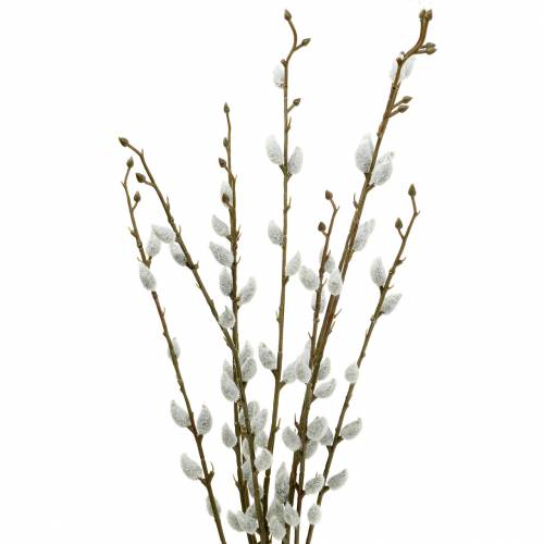 Floristik24 Kutwilgenbos L54cm 3st