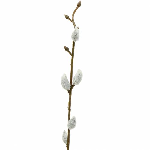 Floristik24 Kutwilgenbos L54cm 3st