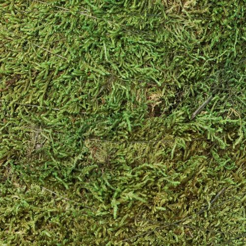 Artikel Kerstboom mosdecoratie in groen naturel Ø30cm H100cm
