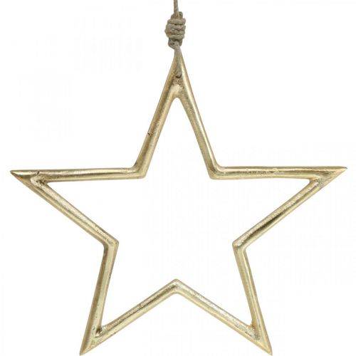 Artikel Kerstdecoratie ster, adventsdecoratie, ster hanger Golden B24.5cm