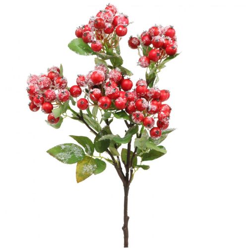 Floristik24 Kersttakken met rode bessen, winterdecoratie, harpberry rood gesneeuwd L58cm