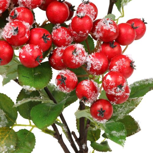 Artikel Kersttakken met rode bessen, winterdecoratie, harpberry rood gesneeuwd L58cm