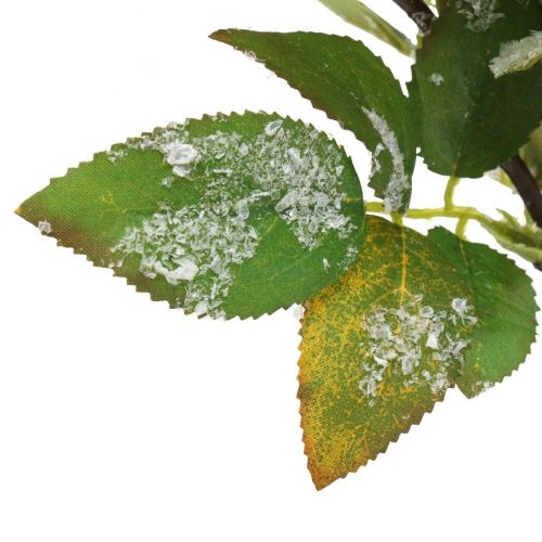 Floristik24 Kersttakken met rode bessen, winterdecoratie, harpberry rood gesneeuwd L58cm