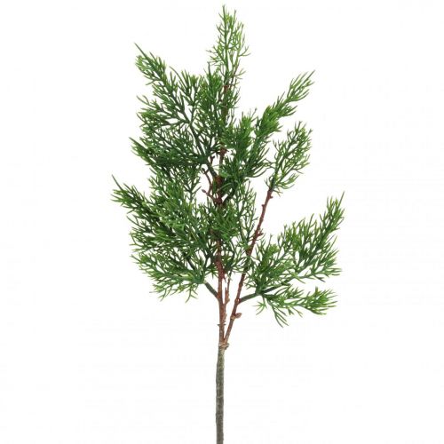 Artikel Kersttakken cipressen decoratieve tak cipressentakken 50cm 4 st