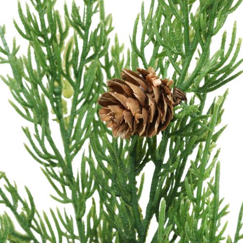Floristik24 Cypress takken kunst kersttak met kegels 78cm