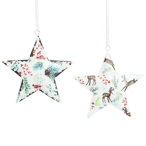 Artikel Kerstdecoratie ster hertennaalden bessen Ø8cm 6 st