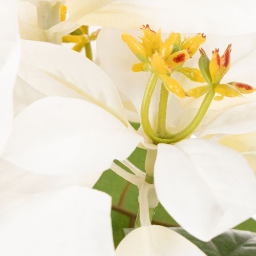 Kunstmatige kerstster, wit, grote bloem, decoratieve plant, 40 cm | Floristik24.nl