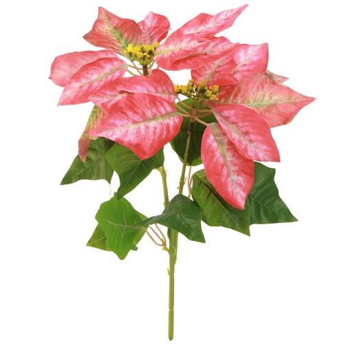Kunst Poinsettia Rood Roze L35cm 6st 2 bosjes