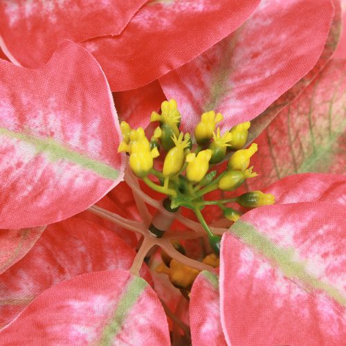 Artikel Kunst Poinsettia Rood Roze L35cm 6st 2 bosjes