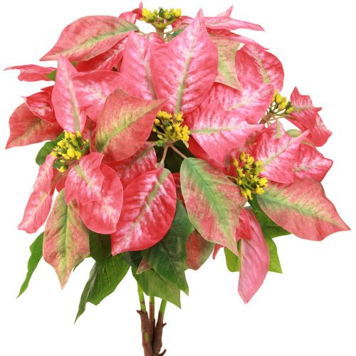 Floristik24 Kerstster rood roze kunstkerstster L53cm