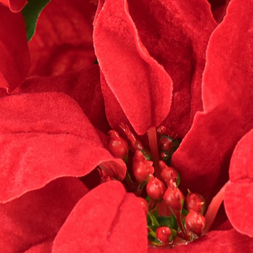 Artikel Poinsettia Rode Kunstplant 5 Bloemen 40cm