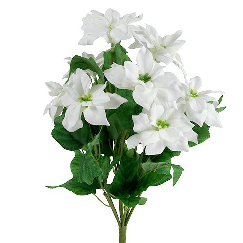 Kerstster boeket wit L45cm