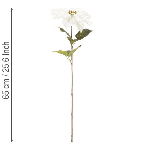 Kunstmatige witte poinsettia, grote bloeiende takdecoratie, 65 cm, 2 stuks | Floristik24.nl