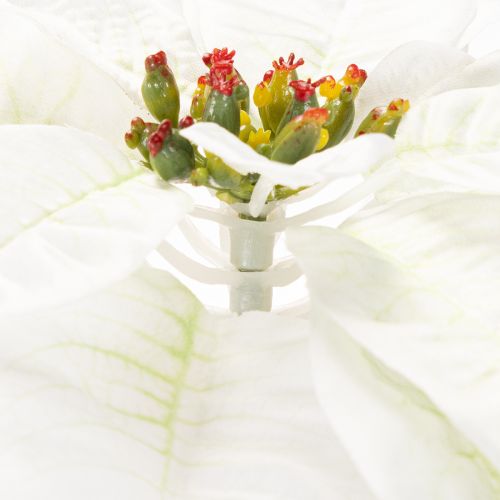 Kunstmatige witte poinsettia, grote bloeiende takdecoratie, 65 cm, 2 stuks | Floristik24.nl