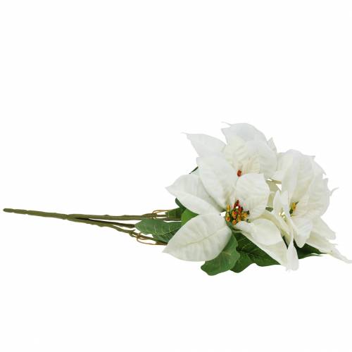 Floristik24 Poinsettia boeket wit 52cm