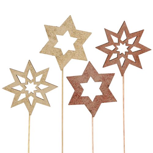 Floristik24 Poinsettia bloempluggen brons goud Ø5,5cm 18 st