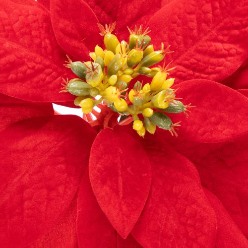 Kunstmatige rode poinsettia met enkele steel, decoratie, 82 cm | Floristik24.nl