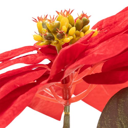 Kunstmatige rode poinsettia met enkele steel, decoratie, 82 cm | Floristik24.nl