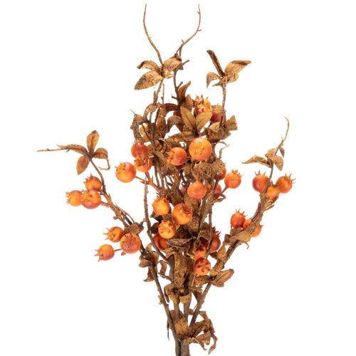 Kunstmatige meidoorntak, herfstdecoratie, 75 cm | Floristik24.nl