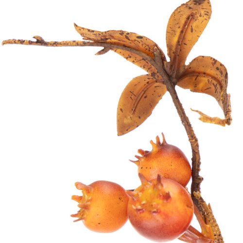 Kunstmatige meidoorntak, herfstdecoratie, 75 cm | Floristik24.nl