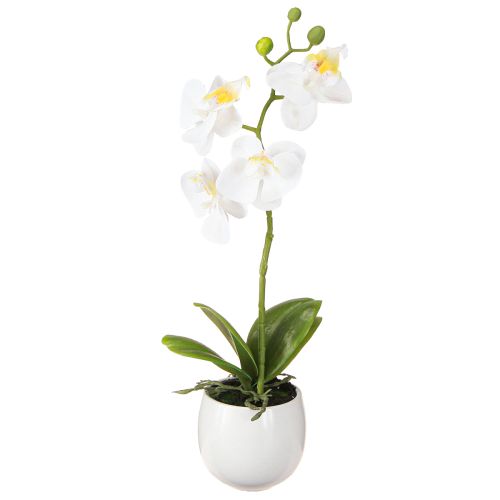 Witte orchideeën kunstbloemen in pot Phalaenopsis H33cm
