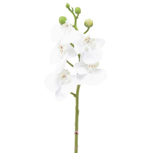 Witte kunstorchidee Phalaenopsis Real Touch 32cm