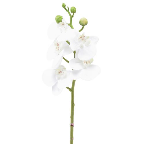 Artikel Witte kunstorchidee Phalaenopsis Real Touch 32cm