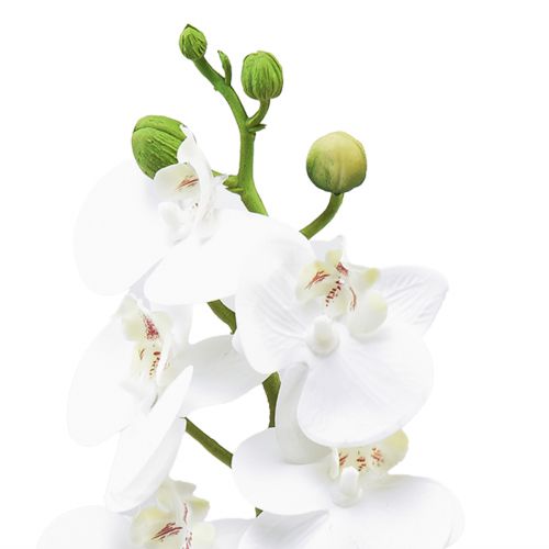 Artikel Witte kunstorchidee Phalaenopsis Real Touch 32cm