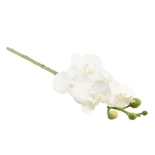 Artikel Witte kunstorchidee Phalaenopsis Real Touch 32cm