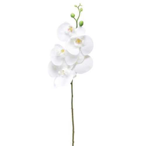 Floristik24 Witte kunstorchidee Phalaenopsis Real Touch 85cm