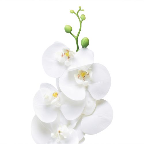 Artikel Witte kunstorchidee Phalaenopsis Real Touch 85cm