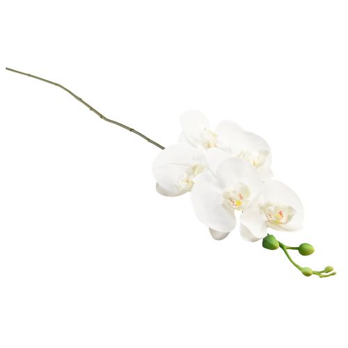 Artikel Witte Orchidee Kunst Phalaenopsis Real Touch H83cm