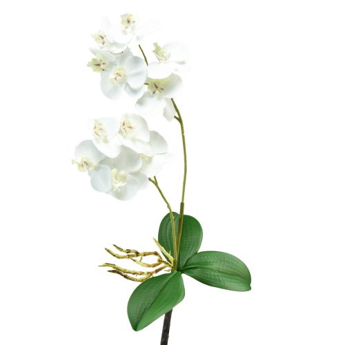 Floristik24 Witte Orchidee op Pluk Kunst Phalaenopsis Real Touch 39cm