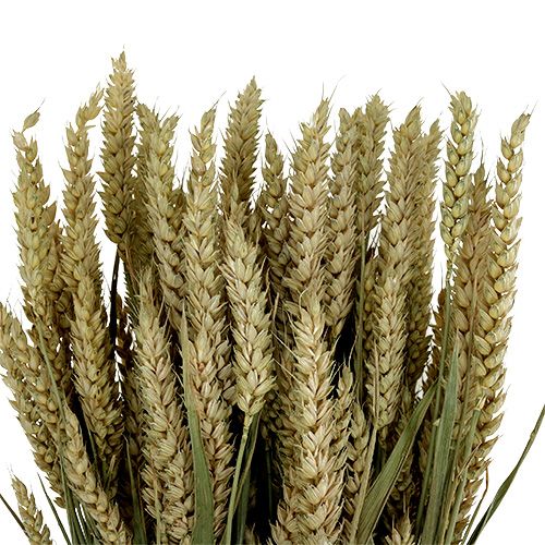 Artikel Tarwe bos naturel decotarwe 1 bos 150g
