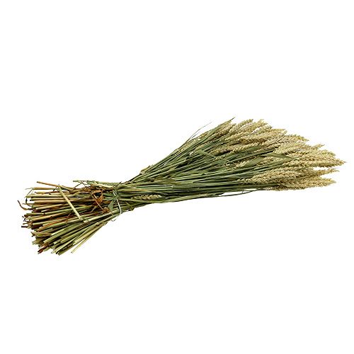 Artikel Tarwe bos naturel decotarwe 1 bos 150g