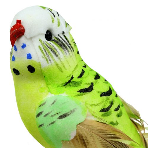 Floristik24 Parkiet op clip groen 13cm 6st
