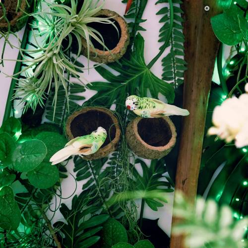 Floristik24 Parkiet op clip groen 13cm 6st