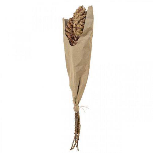 Floristik24 Witte dennenappels dennenappels H70cm 7 stuks bos