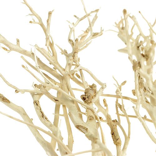 Floristik24 White Bush gebleekt 5 st