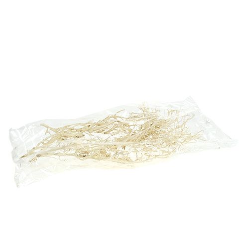 Floristik24 White Bush gebleekt 5 st