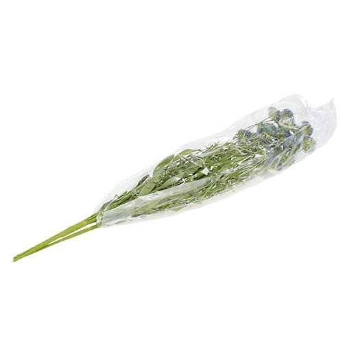 Floristik24 Weidebloemen blauw L65cm 3st
