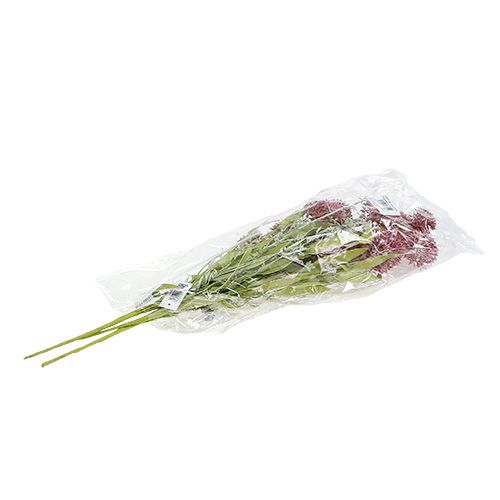 Floristik24 Weidebloemen rood L60cm 3st