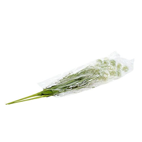 Floristik24 Weidebloemen wit L60cm 3st