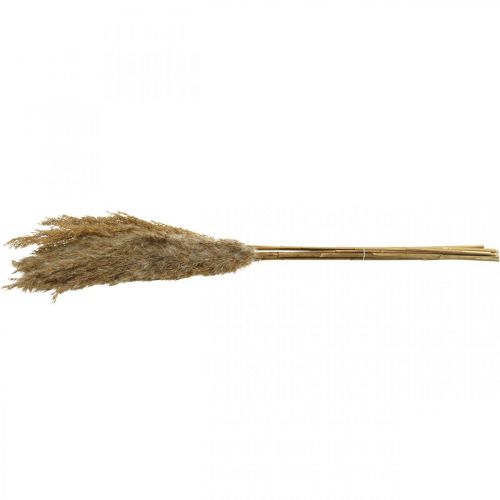 Artikel Drooggras zegge naturel droge decoratie 75cm 10 st