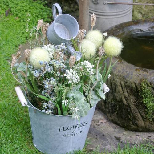 Floristik24 Wildflower Bos, natuurlijk duizendblad, gewassen wit 30–60cm 150g
