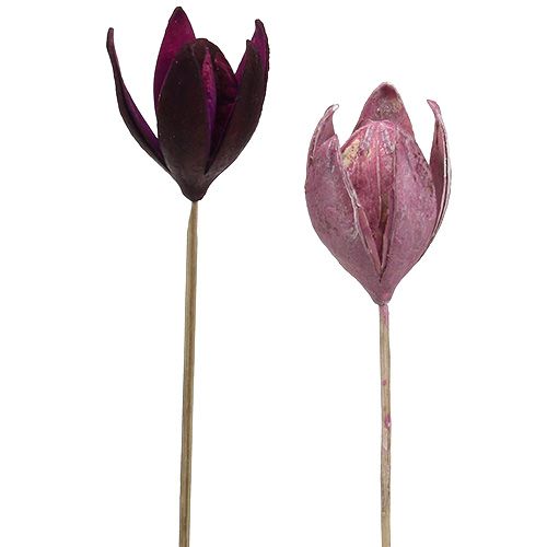 Floristik24 Wilde lelie voor decoratie op stengel mix roze, Erika 45 st
