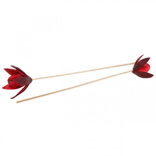 Floristik24 Wilde lelie op steel rood Ø6,5cm 35cm 45 st