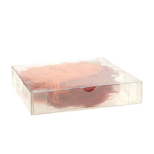 Wilgen skeletkleur oranje / rood 200st.