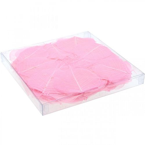 Artikel Skeletbladeren Wilgenbladeren geskeletteerd roze 5-9cm 200 st